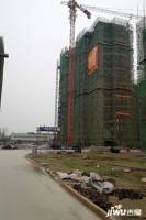 华泰学府春天实景图6